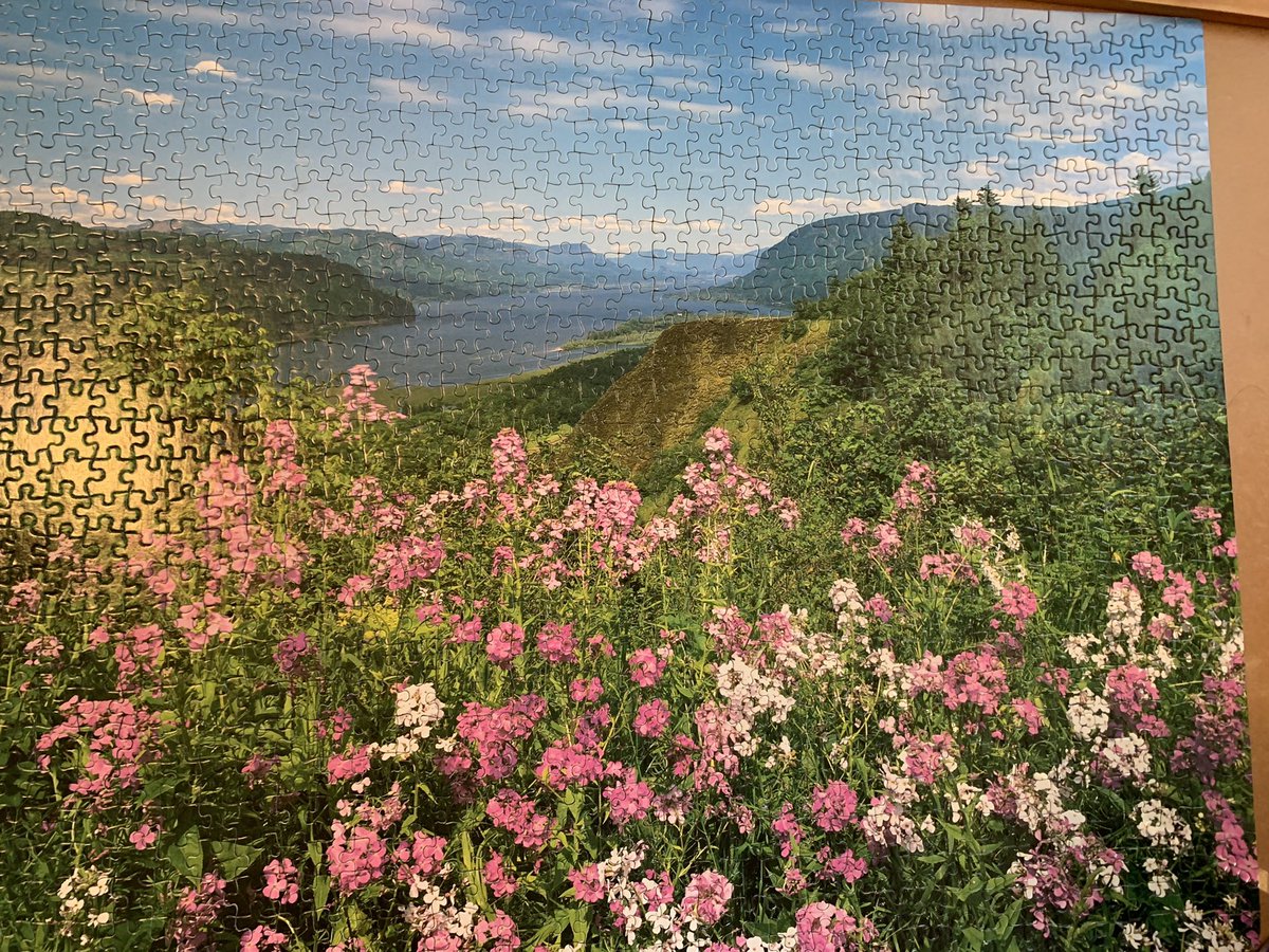 eaglejoy11's tweet photo. #84 #1st puzzle of Summer #Summermode https://t.co/nrIlAMquzT