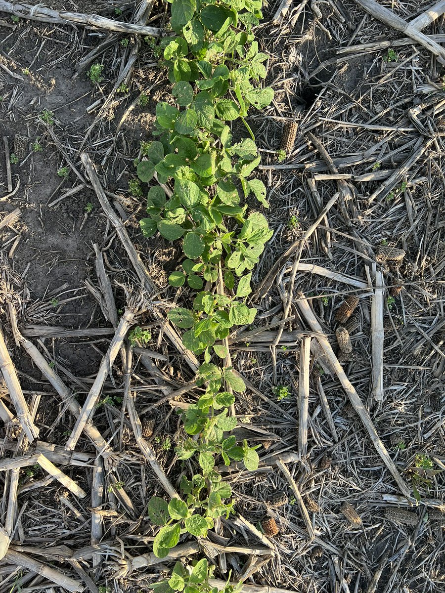 Jason Schley tweet media