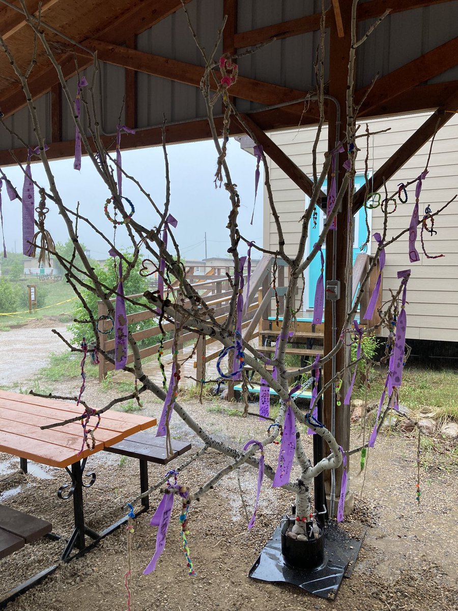 Celebrating the end of the year with grade 3-6 students from King George and Princess Alexandra. We are so grateful that Elder Kathy, Mr. Y, Leanne, and Elizabeth shared this day on the land with us❤️. More to come tomorrow…<a href="/StoonPubSchools/">Saskatoon Public Schools</a>
