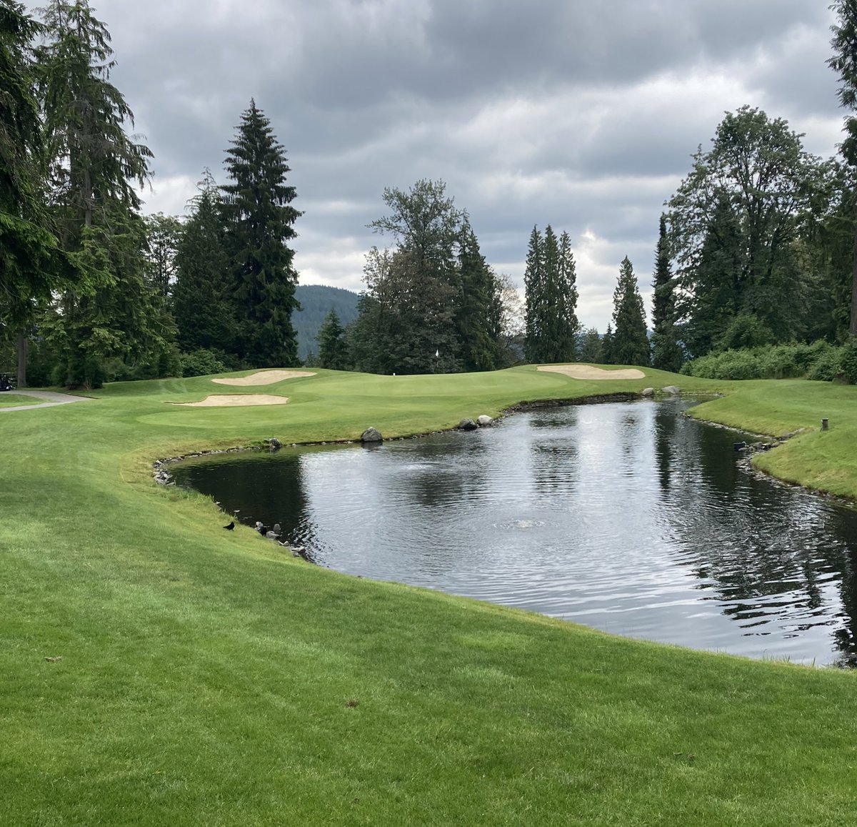 nscomf's tweet image. And that’s a wrap 🏌️‍♂️ Thank you for supporting our 15th annual golf tournament. See you all next year! #golftournament #nscfgolf2022 #seymourgolfandcountryclub