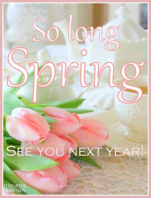 LuvDani_xoxo's tweet image. #GoodbyeSpring 💐🌷🐰🦋