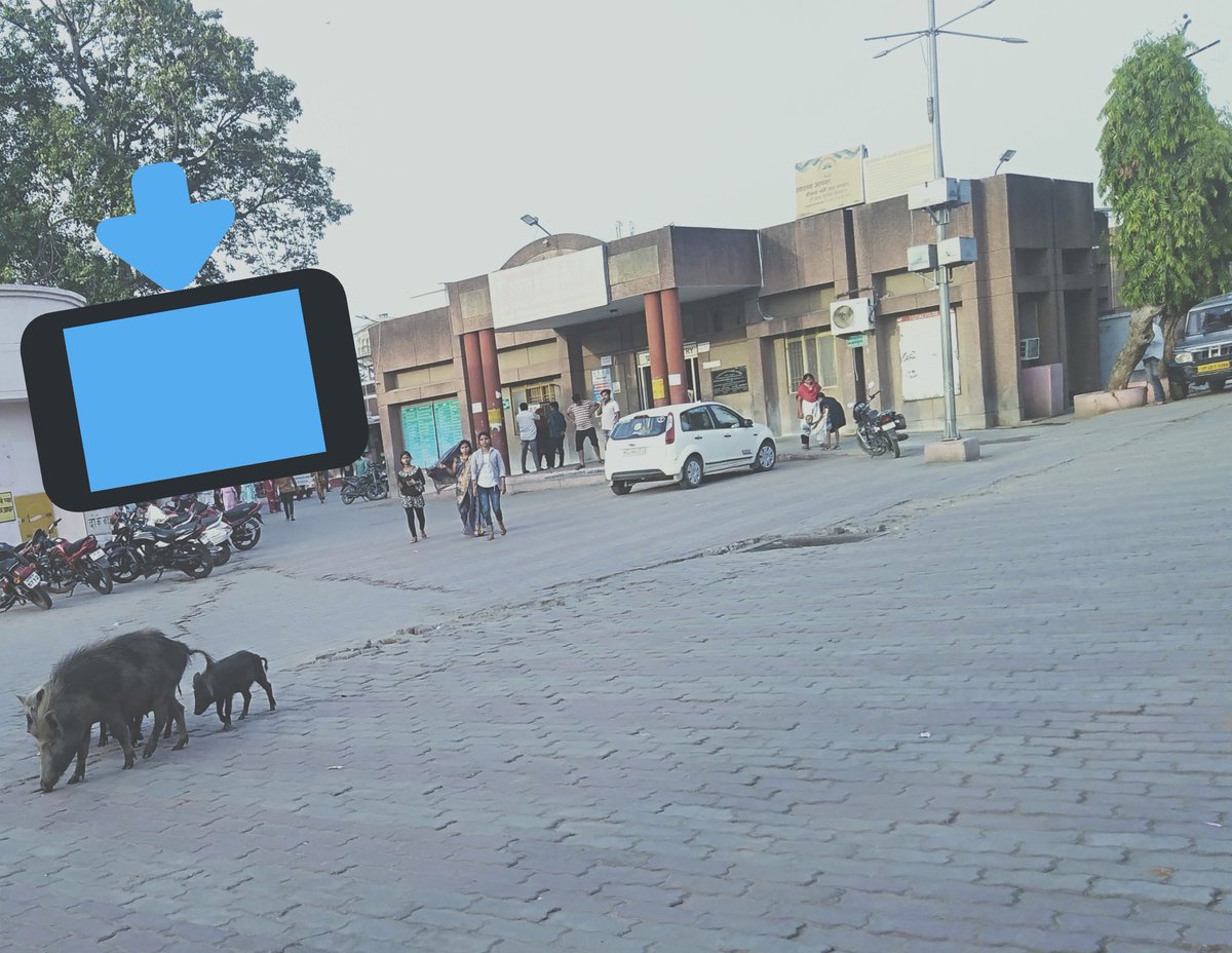 एक सच्चाई यह भी देखिये श्रीमान जी