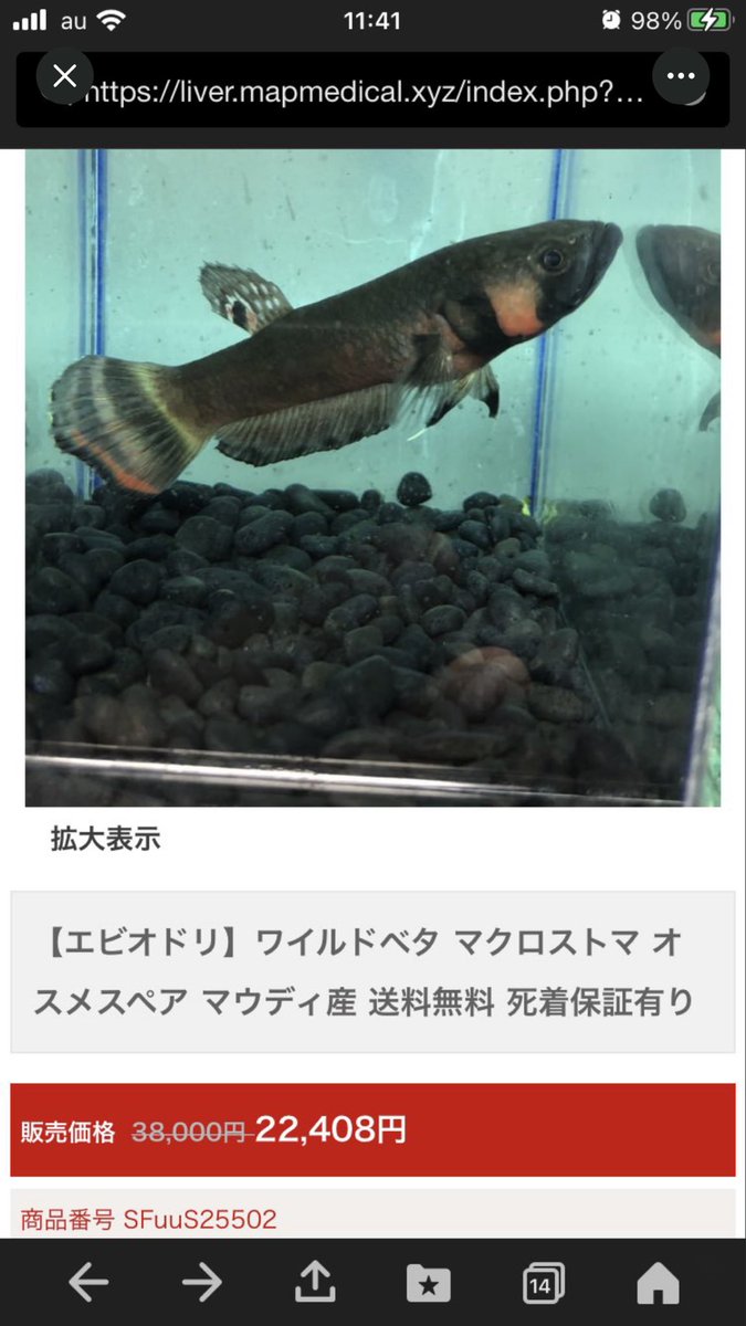 ebiodori19's tweet photo. 偽エビオドリに要注意デス💦
エビオドリではヤフーショッピング、ヤフオク、メルカリ、直接でのお取引以外はしておりませんのでご注意下さい🙇‍♂️
#拡散希望 https://t.co/cdXVSZ3BhI