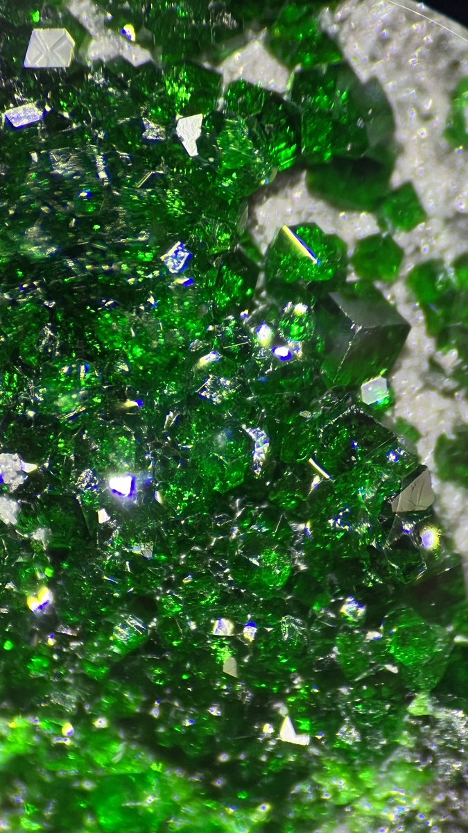 MicroscopeFans's tweet photo. Uvarovite Garnet
Locality:Permskaya , Ural , Russia
#ウバロバイトガーネット
#MicroscopeFans #顕微鏡ファンズ #uvarovite #garnet #ガーネット #microscope #microscopephotography #microscopy https://t.co/gla6tKXI8Q