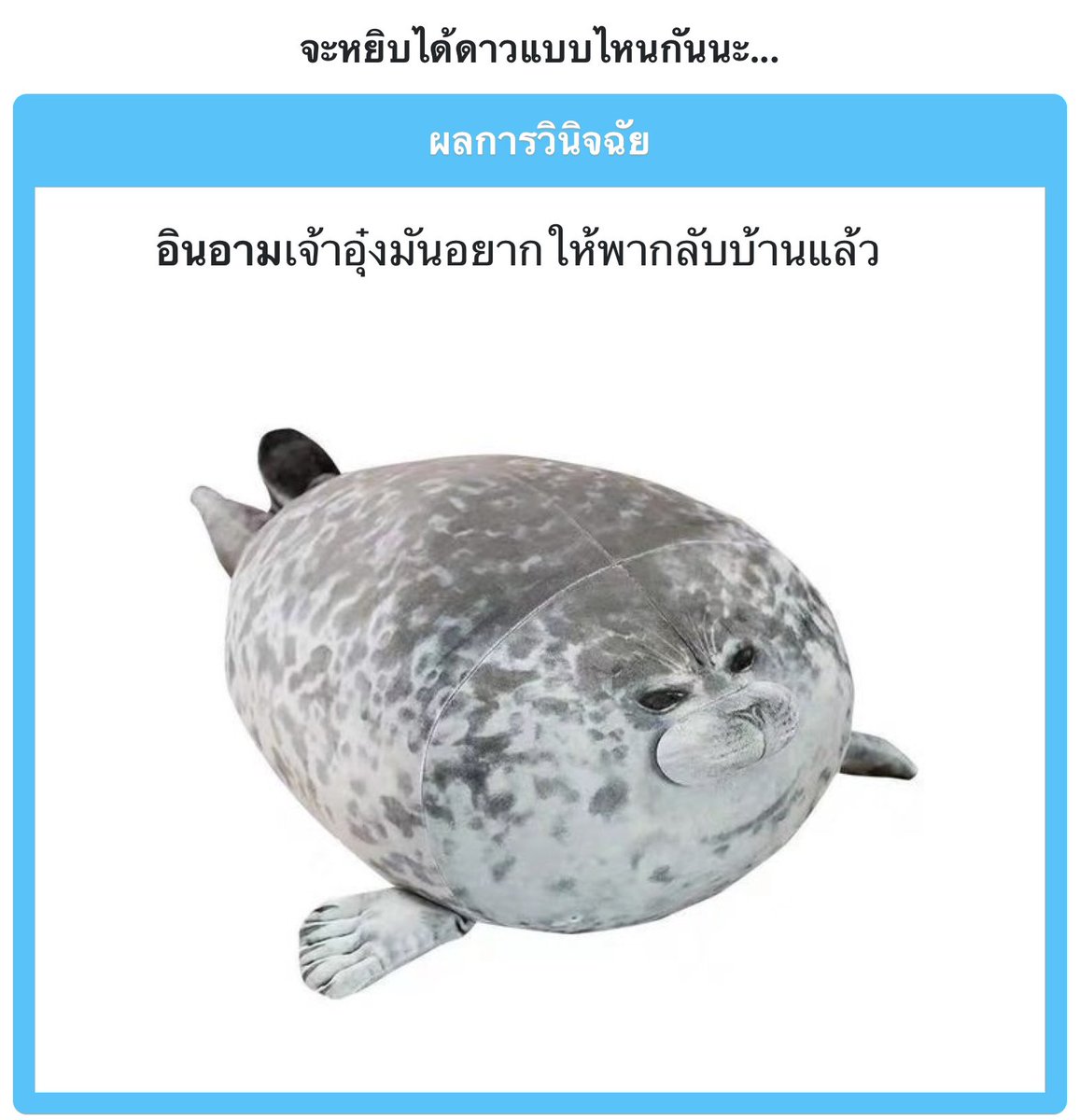 TOB2_Innam's tweet photo. อุ้มอุ๋งกลับหอ 🦭 https://t.co/8O53yApntk