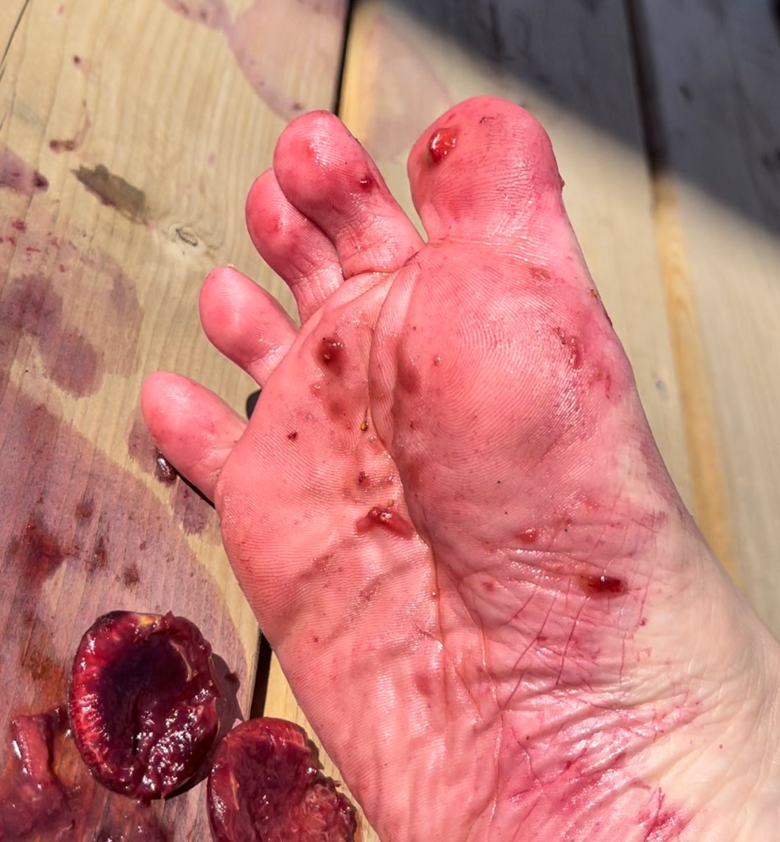 Boo28635016's tweet photo. Dirty juicy feet 😏 
.
.
#feetworship #dirtyfeet #juicyfeet #squish #dirtytoes #filthyfeet https://t.co/dqYuH8AX70