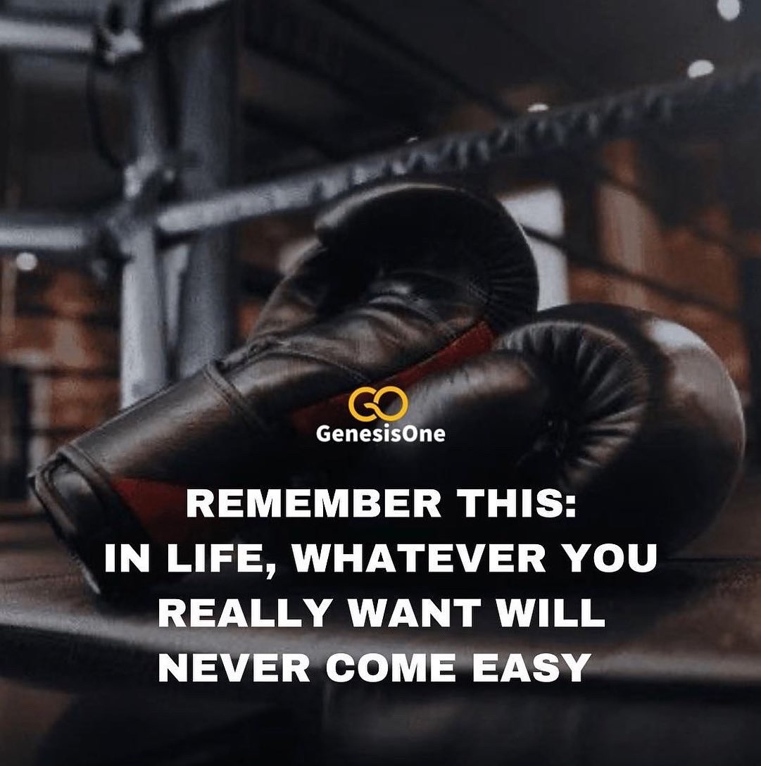 GenesisOne tweet media