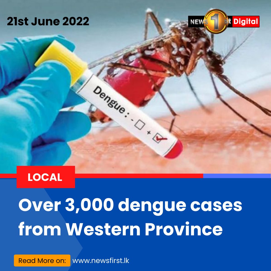 NewsfirstSL's tweet photo. Over 3,000 dengue cases from Western Province
Details: https://t.co/IGHriuixRc
#SLnews #News1st #SriLanka #lka #NationalDengueControlUnit #Ministry #Health #Dengue #Patients #DengueFever #Hospitals https://t.co/YdiU7PCJtY