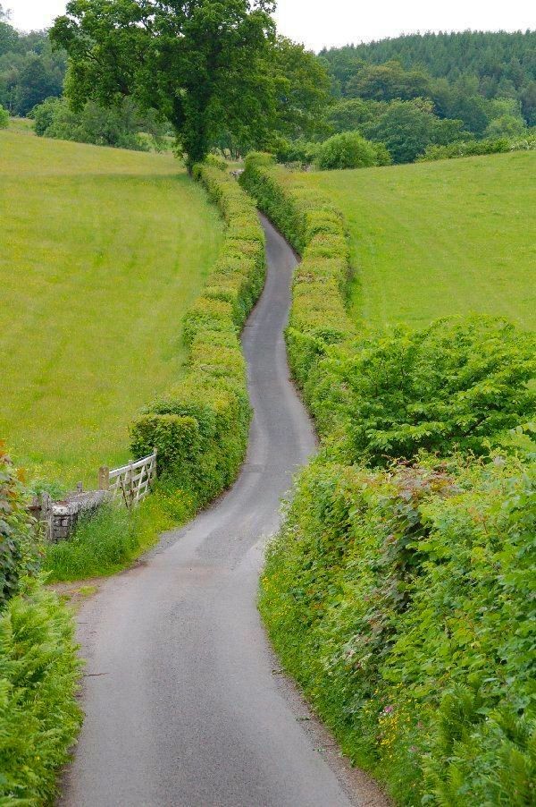 Join me for a Walk 💚💚💚💚