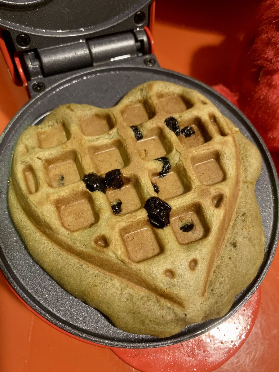 BLCryptoQueen's tweet photo. @Aeromexico @Cuisinart you saved the day! Fresh chocolate nibs and blueberry hemp protein waffles at 3am almost make the past 24 hours a forgotten memory. @fiestahotels mil gracias pot todas incluyendo letting me sleep in your lobby for 2 hours until a room was available &amp; shuttle ride. https://t.co/I7yhwrEMSq