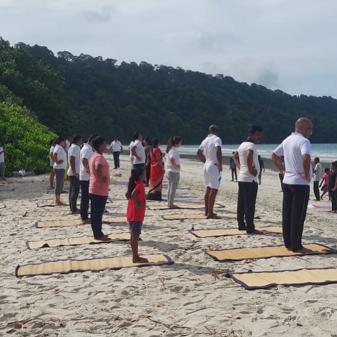 SICOM, MOEFCC tweet media