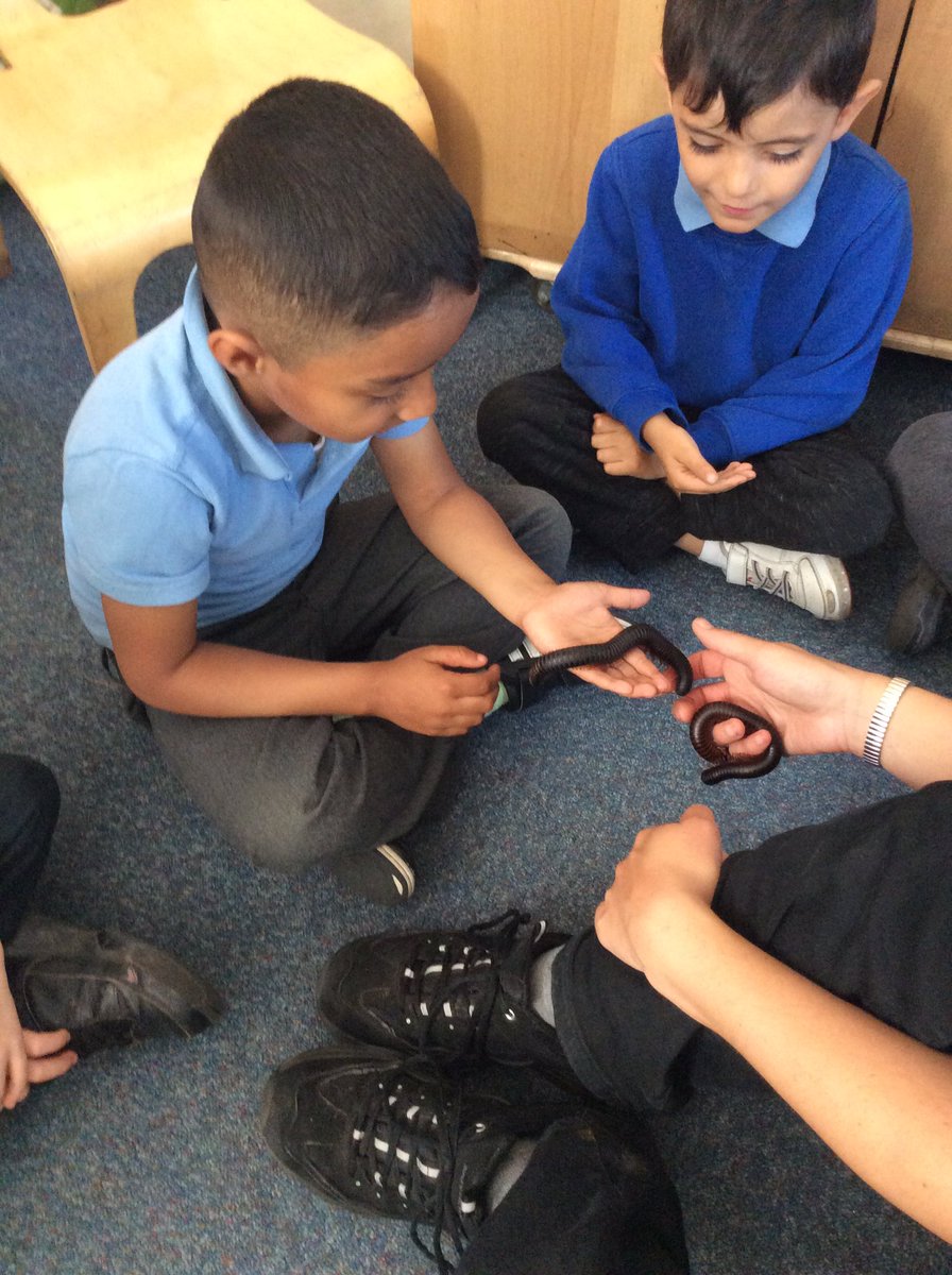 CliftonPrimarySchool tweet media