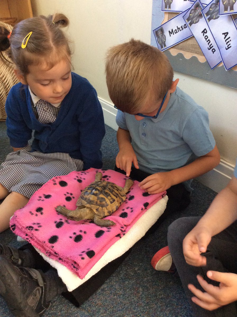 CliftonPrimarySchool tweet media