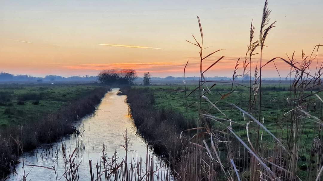 📢 Shoutout to @SWTCarltonMarsh in #Lowestoft on #SuffolkDay. Thank you for all you do to make Carlton Marshes what it is 👏 @suffolkwildlife @WildlifeTrusts @suffolkcc @EastSuffolk @Visit_Suffolk @MarkGlennMurphy @suffolkmag @seesuffolk @WeatherAisling @ChrisPage90 @BBCLookEast