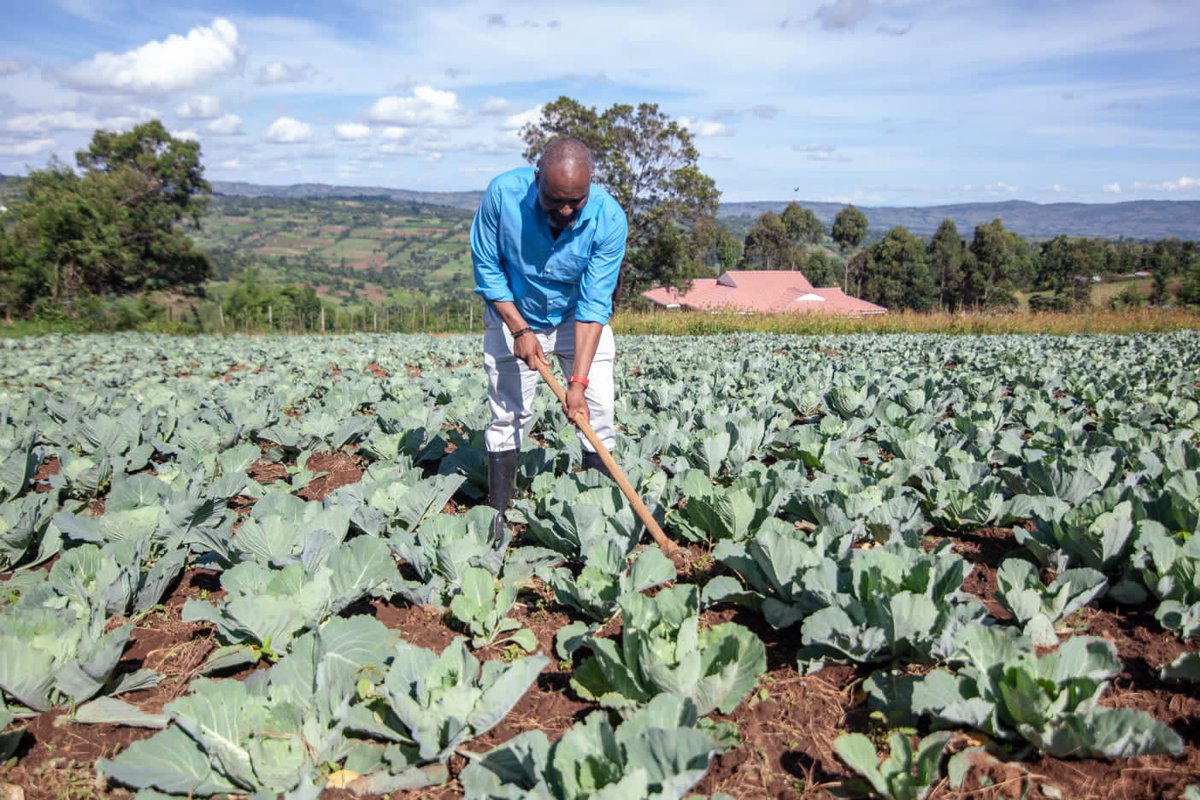 p_dusabimana's tweet photo. What's your problem?
✓Hunger......Invest in agriculture
✓Poverty...... Invest in Agriculture
✓Malnutrition....Invest in Agriculture
✓Unemployment.....Invest in Agriculture
✓Climate change......Invest in Agriculture
✓Underdeveloped......Invest in Agriculture
#FarmingIsLife https://t.co/qzGrYUIXsC