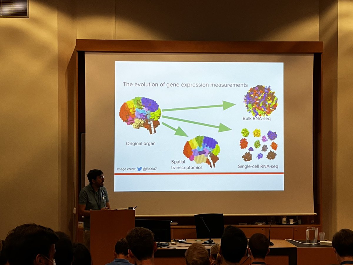 jo_rainer's tweet photo. And now Davide @drisso1893 on single cell RNA-seq at #CSAMA2022 @Bioconductor workshop https://t.co/rgYMbVyhgf