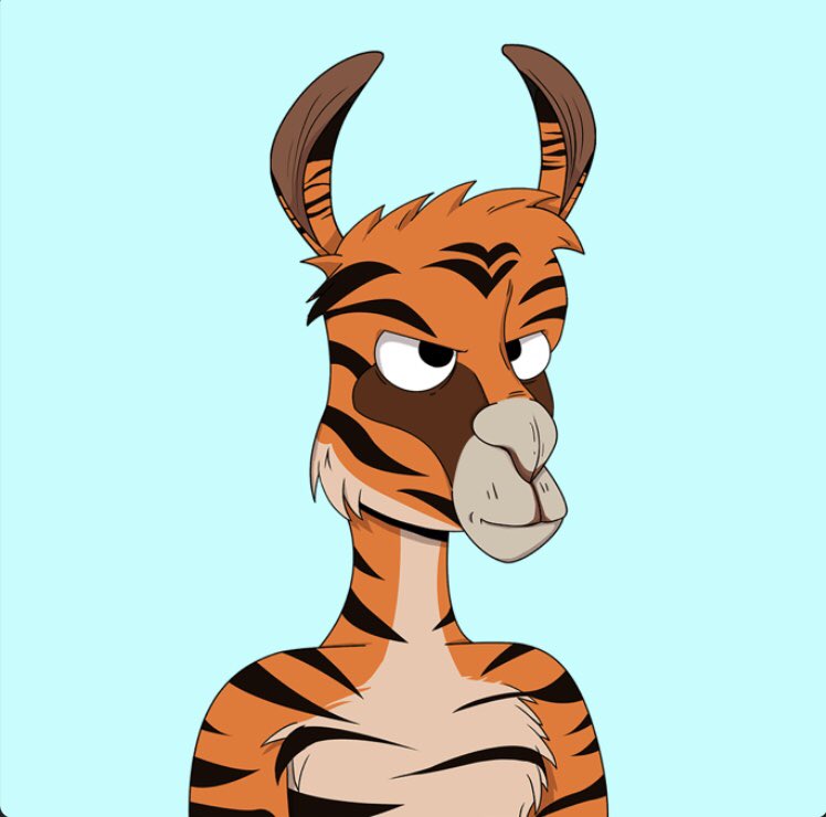 DocNFTs's tweet photo. #HAYHAY  @SecretLlama_A 😎 I got finally the traits that I was looking for and I finish combine my Lama such a nice experience it’s really fun ❤️ I show you the steps 😉 https://t.co/lgt6XFn7Bw