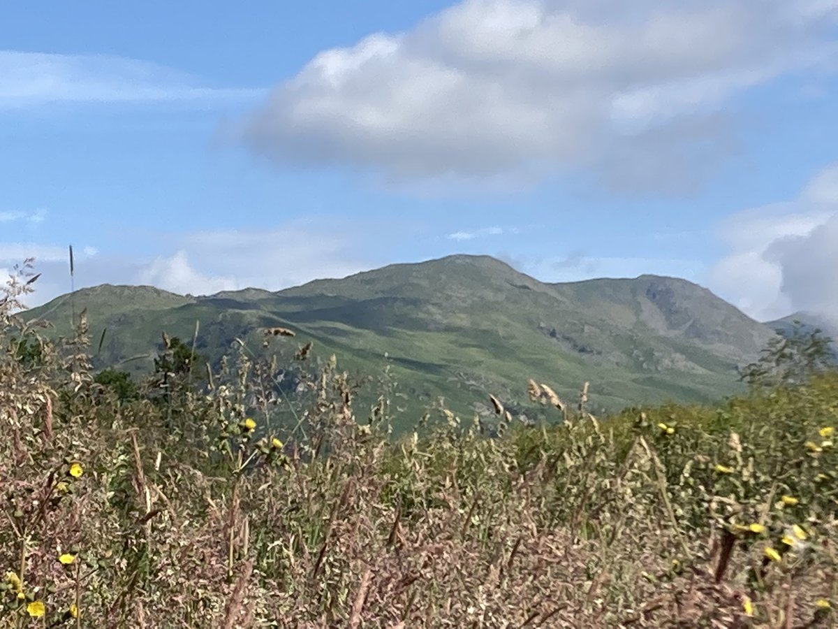 MeiLoft's tweet image. Fairfield Horseshoe - my beautiful view this morning. Got myself a little micro campervan to solve housing issues - never felt happier! A week in the #lakedistrict is just the tonic I need🌳🥾☀️
#ambleside @FriendsofLakes @CumbriaViews #mentalhealth #fiatdoblo #vanlife #NomadLife