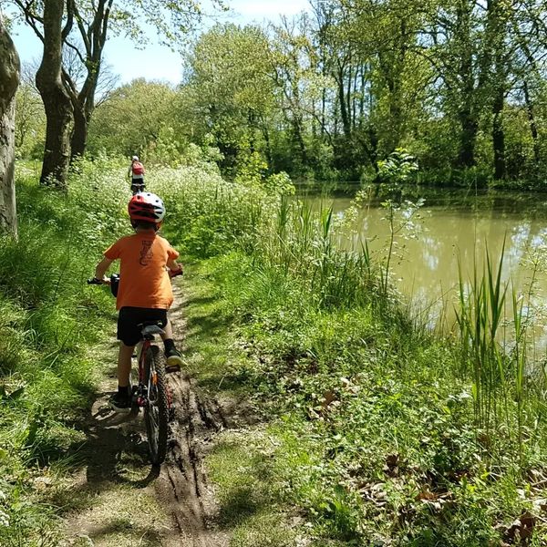Allibert Trekking tweet media