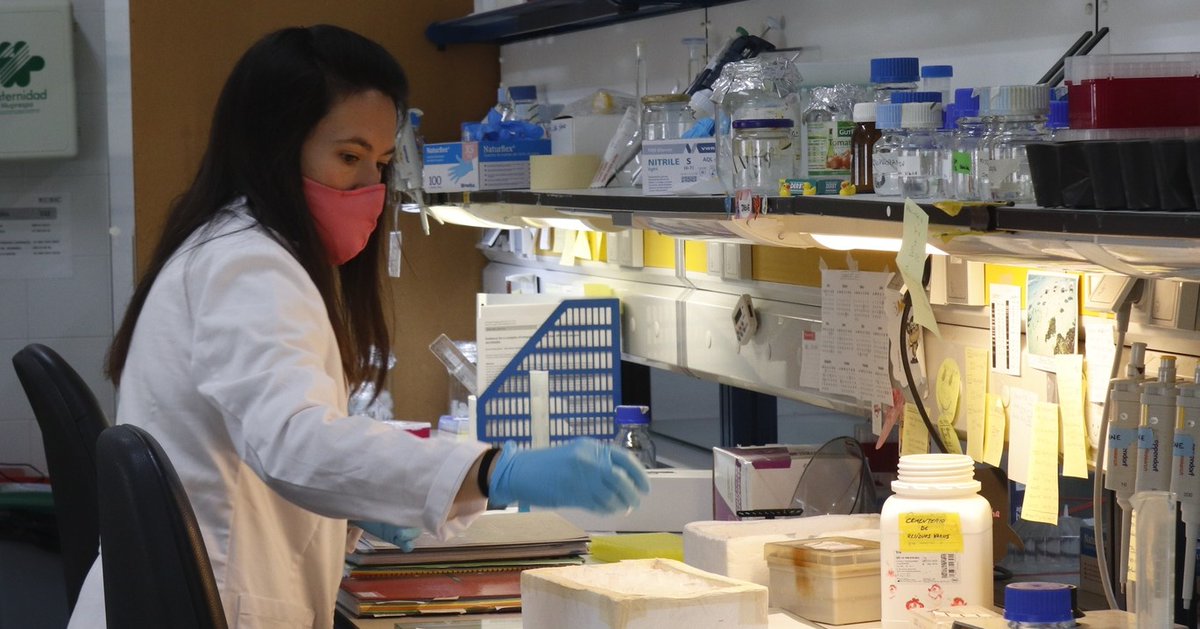 IHSM_CSIC_UMA's tweet photo. 👨‍🔬 Este trabajo ha sido realizado por los investigadores del IHSM La Mayora Juan Antonio Díaz Pendón e Irene Ontiveros junto al investigador del @CRAGENOMICA Juan José López-Moya (@JJLopez_Moya)

#Ciencia #Investigación #Infeccionesmixtas #TYLCV #ToCV #Tomate #Amarilleo https://t.co/t7jSdGukd2