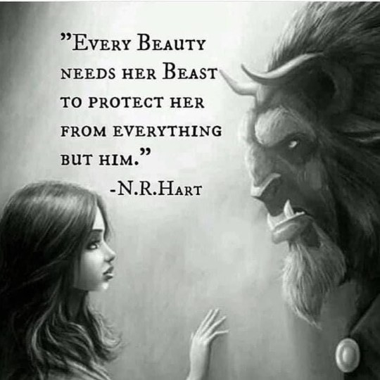 tiger-tom73 (@tom73tiger) on Twitter photo 