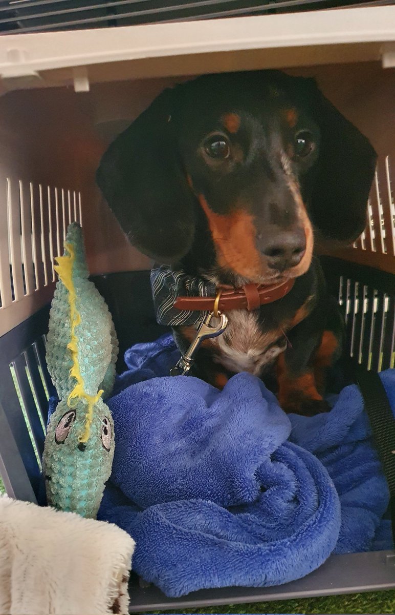 Stacey_Scott_EP tweet media