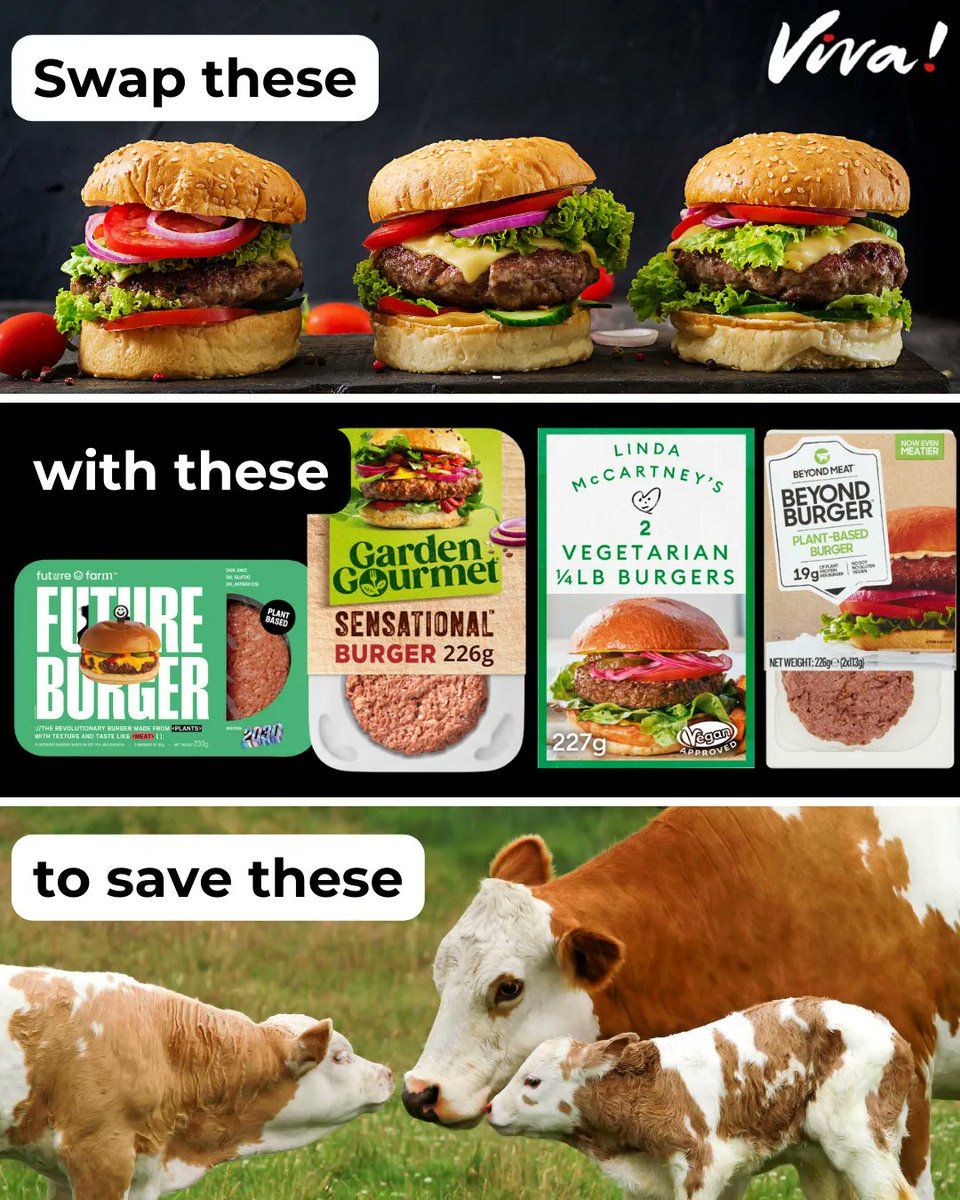 vivacampaigns's tweet photo. Choose vegan to save lives 🐮❤️
#GoVegan #MeatReducer #Burgers #AnimalRights https://t.co/88QB6G0WjY