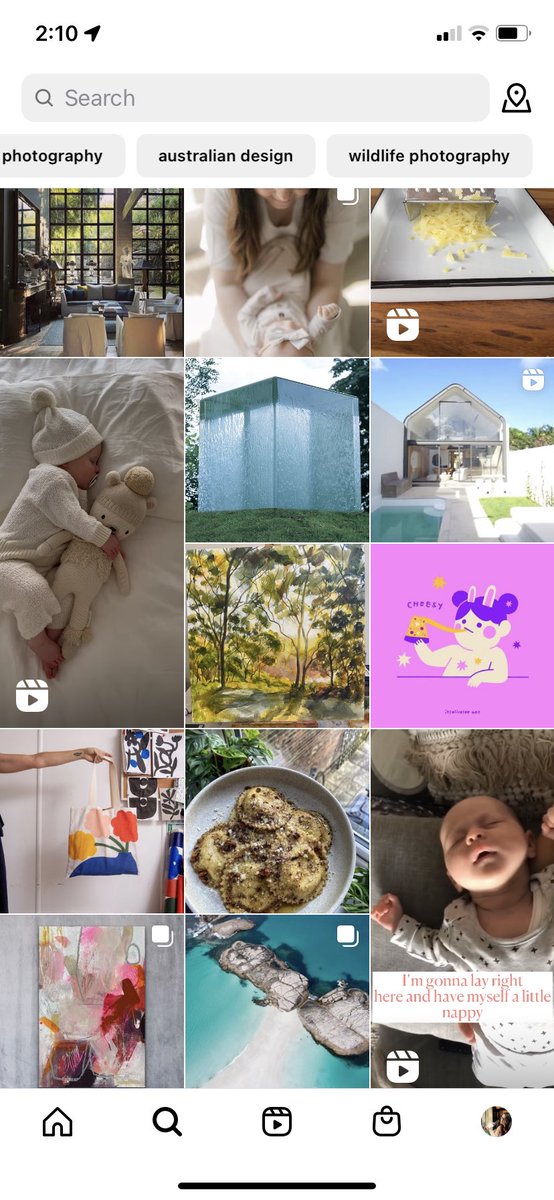 Phoebe LeMessurier tweet media