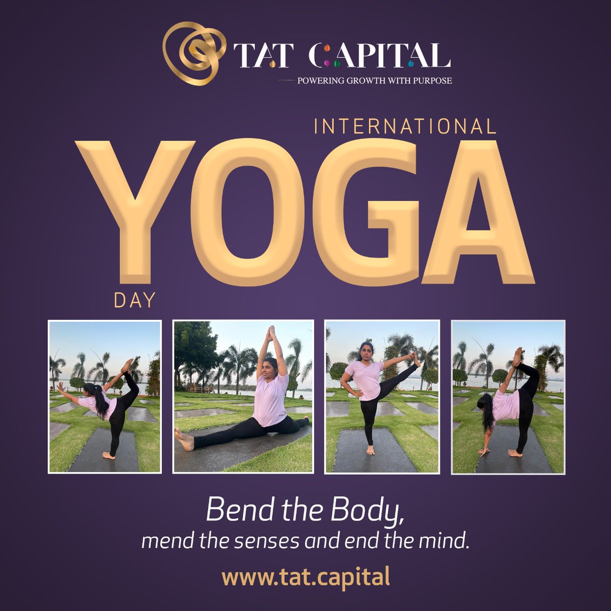 Tat Capital tweet media