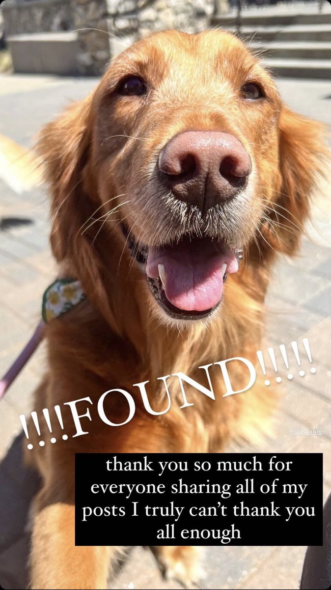 gopikashine's tweet photo. Thank you all for sharing my tweets about Bailey! SHE’S BEEN FOUND! 🥹🥰 So happy for her human @addisontaylorrr ❤️ https://t.co/BTFye6ZTvV