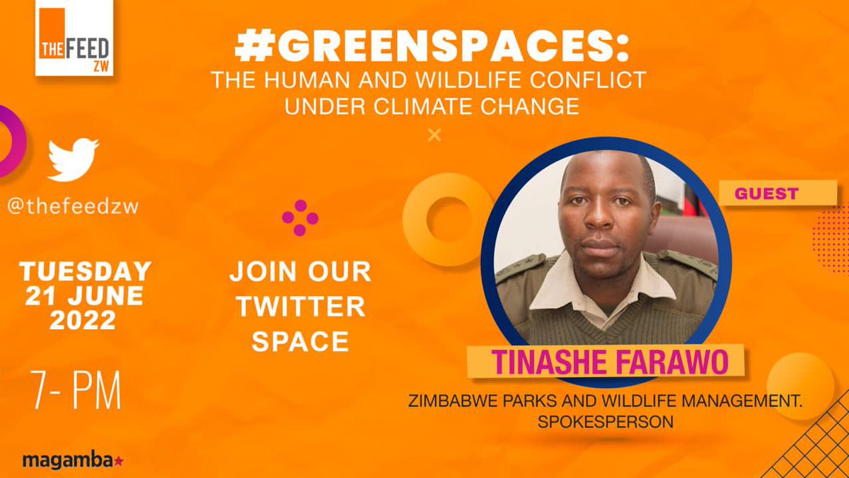 Tonight, on #GreenSpaces <a href="/Zimparks/">Zimparks</a> Spokesperson Tinashe Farawo <a href="/FarawoTinashe/">Tinashe Farawo</a> discusses human and wildlife conflict under climate change. Join the conversation! <a href="/AllforClimate1/">All for Climate</a> <a href="/leesanyati/">Lisa Chitura</a> <a href="/CinderellaNdlov/">Cinderella Ndlovu</a> @twishmuro @mimikanokanga <a href="/Kuda_Dhliwayo/">Kuda Dhliwayo</a>