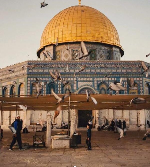 Yürü Ayaklarım Kudüs'e götür beni... Koş ve hızlan 🌸