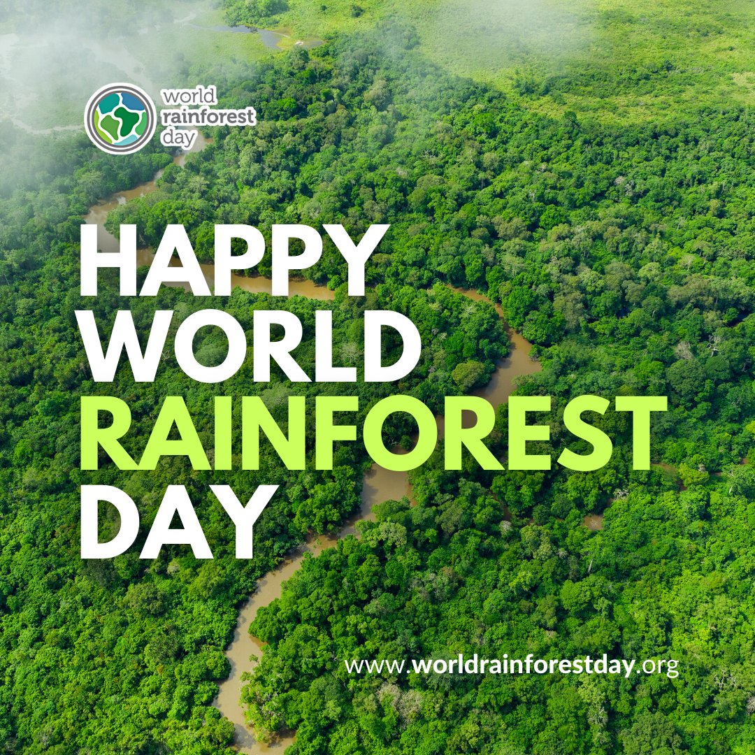 Kamu bisa klik di 👉🏼 worldrainforestday.org 👈🏼 untuk lihat list event serta melakukan pendaftarannya ya! 
Sampai bertemu besok!

#worldrainforestday #worldrainforestdaysummit