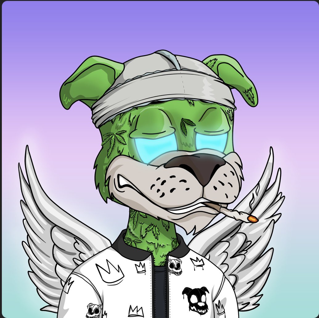 vikqmbata's tweet photo. Stay mad, I'm gonna stay in the chill zone with my dawgs! 🐕@ChillDogsClub https://t.co/A0gQlP9BqA