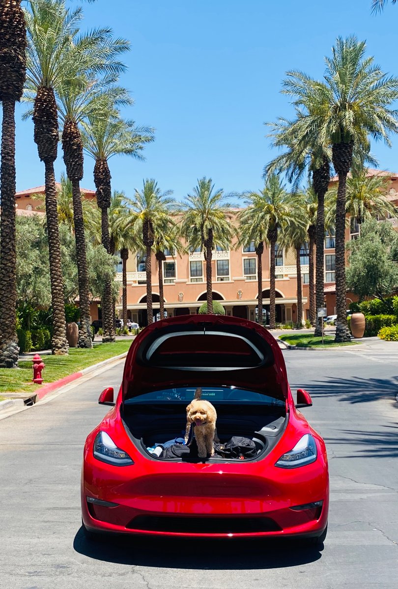 TwixDaPoodle's tweet photo. #Weekly #Motivation  To keep the cross country trip going🐾🙌🏾🐾 #thankyou #lasvegas it was #fun check out My Dads #youtube #vid @TravelTeslaDad 
https://t.co/IZfKfqAiE2
#part1 #westin #lakesoflasvegas #hoverdam #navada #twixdapoodle  #love #tesla https://t.co/JDcLUPfSrO