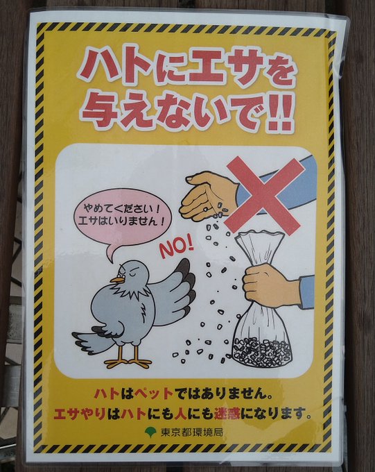 ハトはそんなこと微塵も考えてないだろうな。 