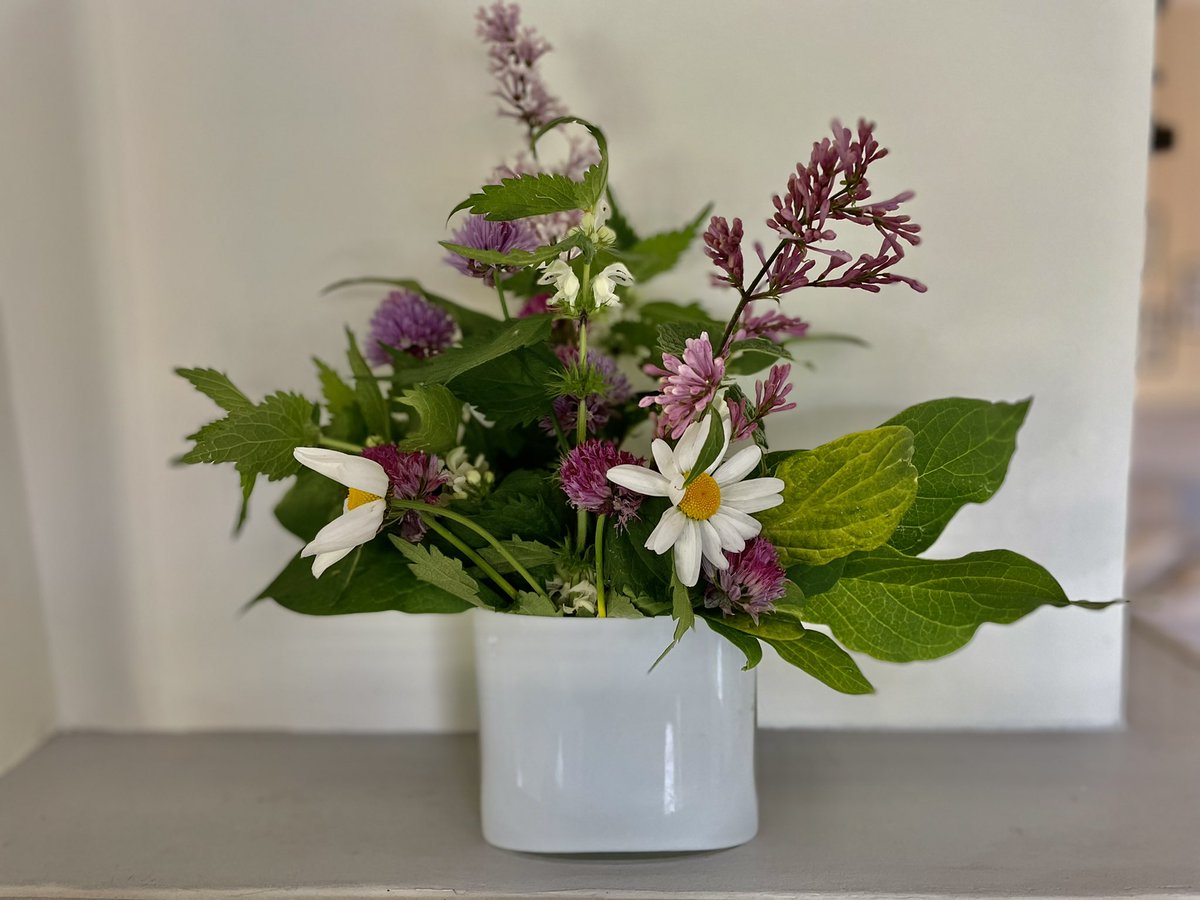 Paivi_Rosqvist's tweet image. Tee tänään kukkakimppu puutarhan tai villin luonnon kukista. Rauhoittavaa ja tuot kauneutta kotiisi. (Muistathan, että suojelualueelta, kuten kansallispuistoista, ei saa poimia kasveja eikä puiden oksia katkoa mistään ilman maanomistajan lupaa.)
#kukat #PienetIlot