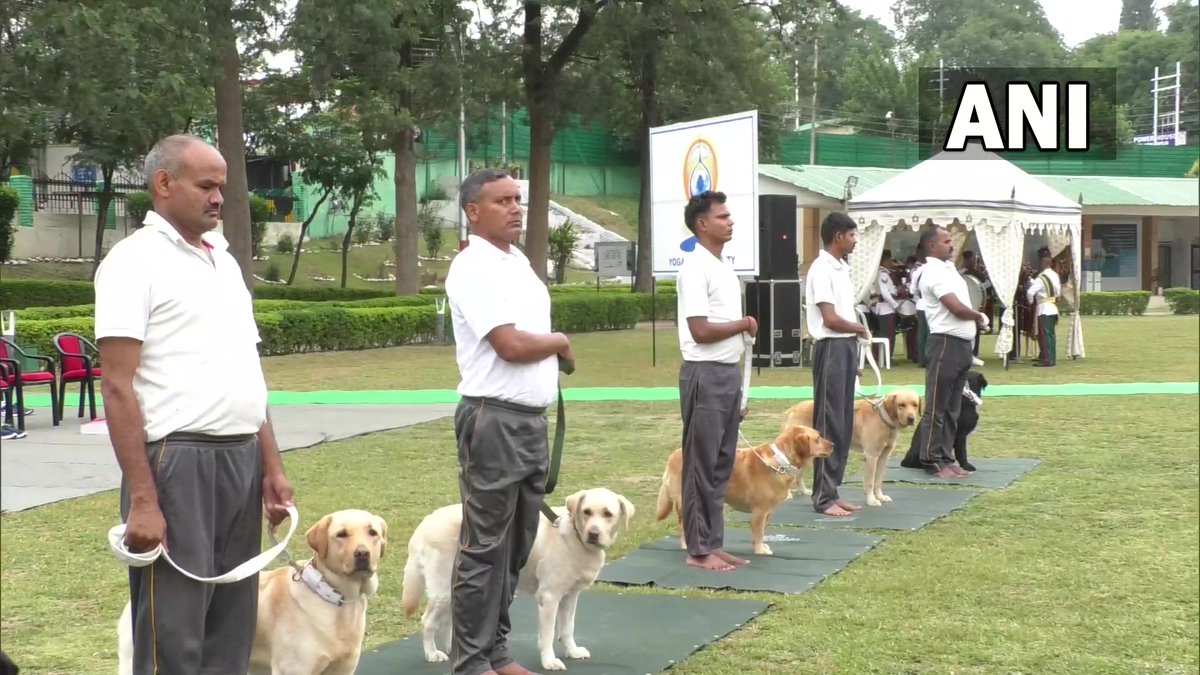 J&K | Northern Command of Indian Army organized a special yoga camp at its Bikra... - Kannada News