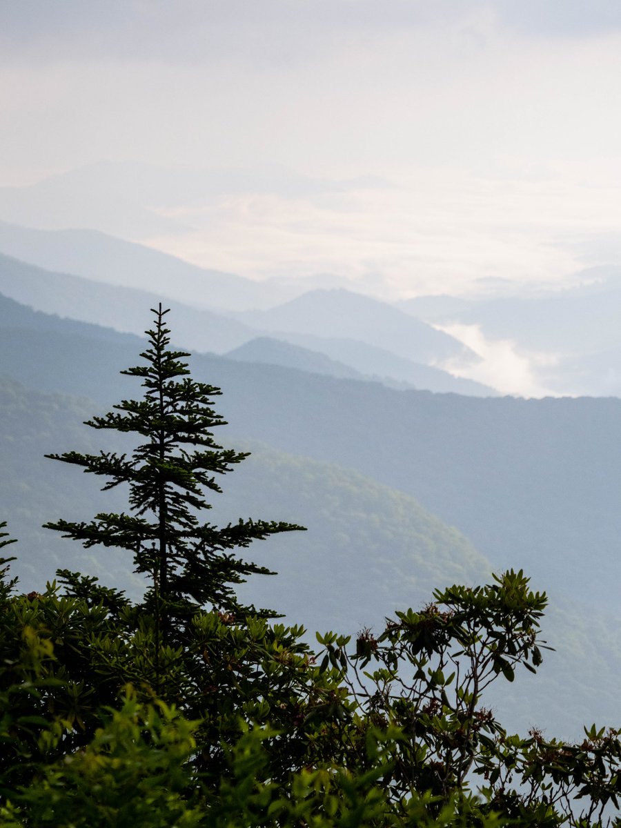 Mornings on the Blue Ridge Parkway