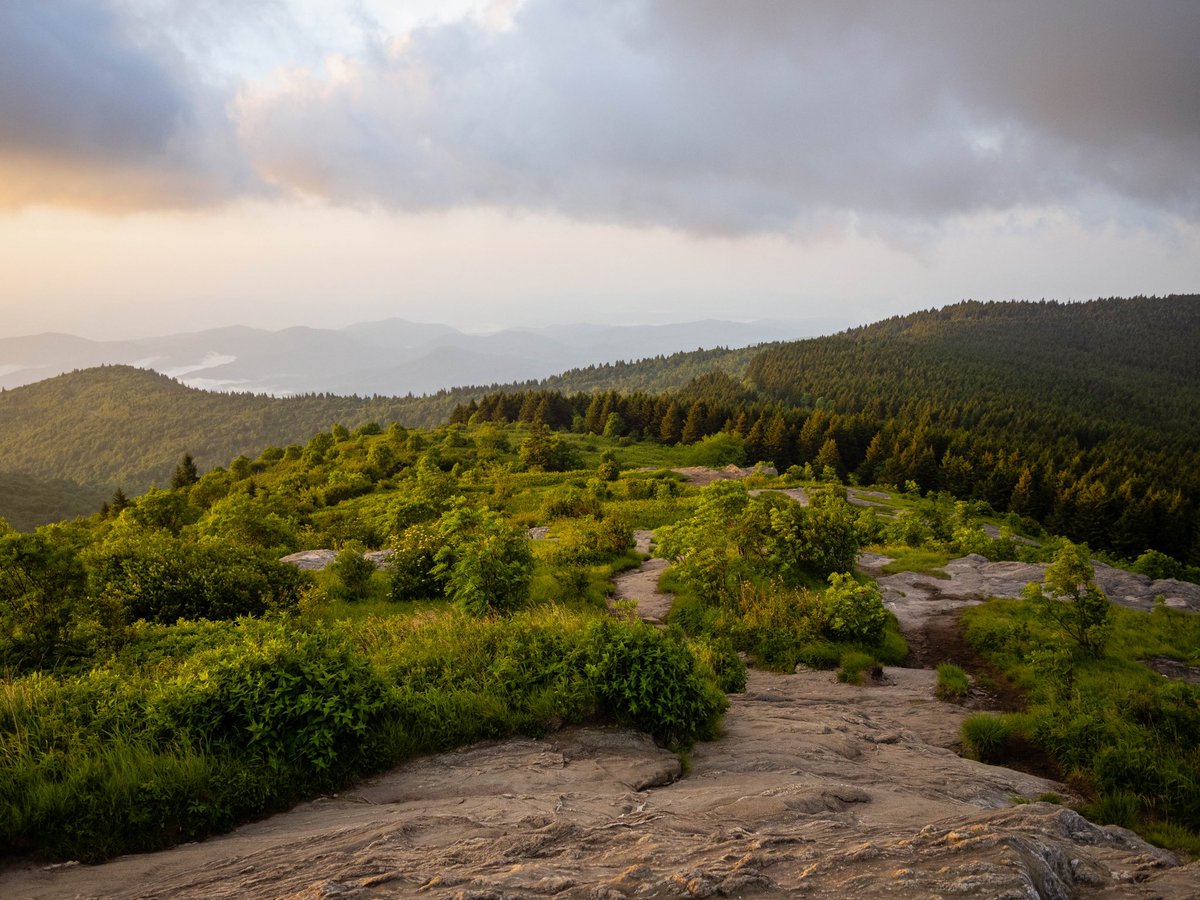 lucasraydowns's tweet photo. Mornings on the Blue Ridge Parkway https://t.co/GGweGZe9UP