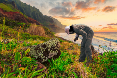 AmbafranceNZ's tweet photo. 🇫🇷 🌏 🇳🇿 2022 #PACIFICFUND: the 2nd call for projects is now OPEN!
✅ To be selected, projects will need to contribute to the regional insertion of French collectivities: New Caledonia, French Polynesia, Wallis and Futuna.
Apply here before #30August ↩️
https://t.co/hGG2zgVvXu https://t.co/fdWQ3k1s3J