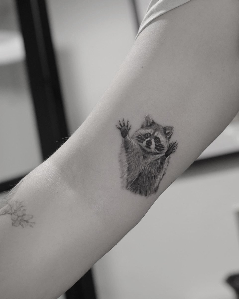 Hi hey hello 🦝🦝🦝