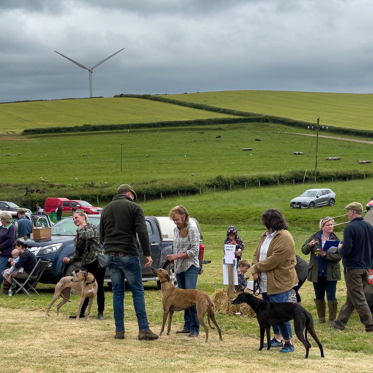 #lurcherlife #dogshow #lurcher #runningdog #dogcommunity #countrylife