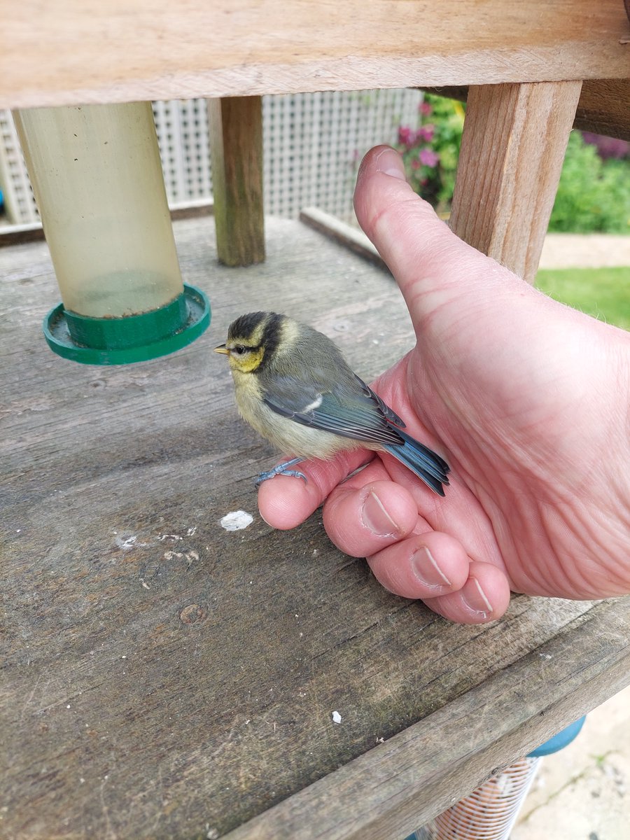 Mark Cantrill tweet media