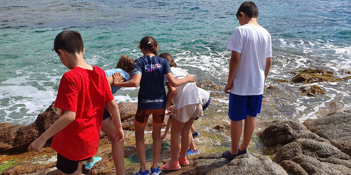 Fa uns dies, 4t de Primària va anar a @Xatrac_org on van poder investigar i aprendre moltes coses sobre tres ecosistemes: el bosc, la platja i les roques properes al mar. Més informació i fotografies 👇 ow.ly/BA9J50JBcpf #CreantEscola