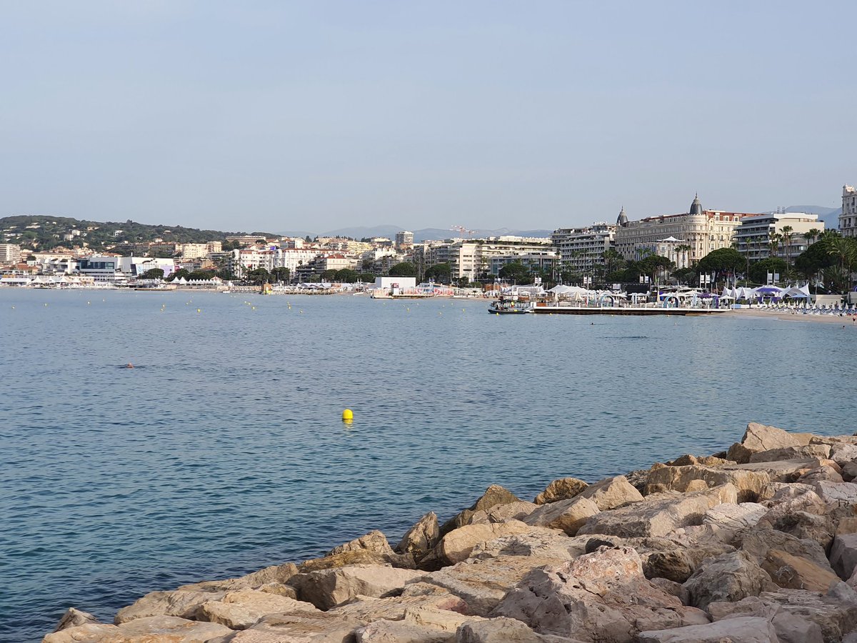 Good morning #CannesLions2022 Excited to meet all of you there! <a href="/xandr/">Xandr</a> + <a href="/MSAdvertising/">MicrosoftAdvertising</a> #BetterTogether