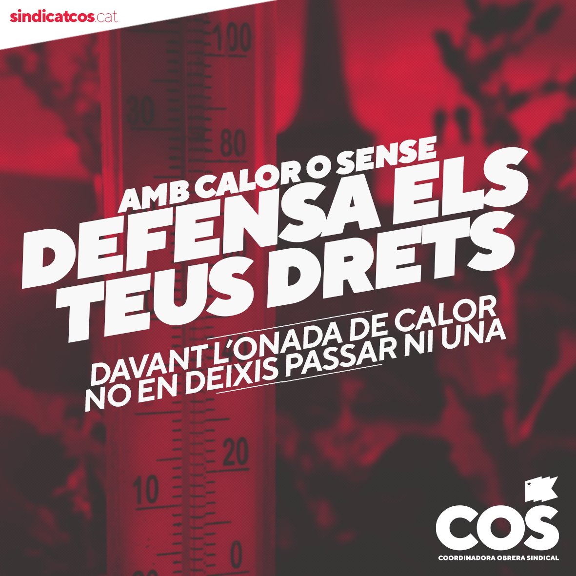 Sindicat COS tweet media