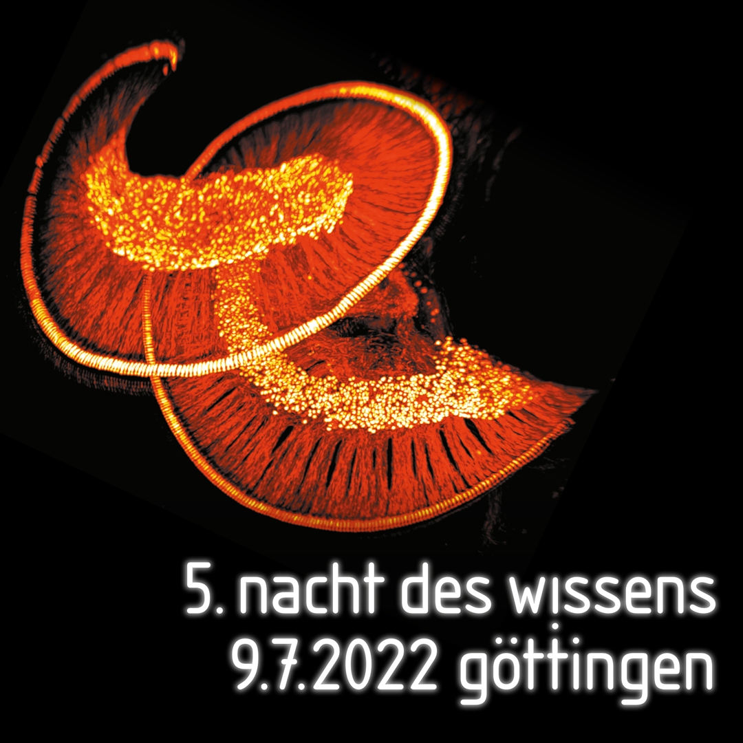 Nacht des Wissens (@ndw_goe) on Twitter photo Endlich ist es wieder soweit! Über 420 Aktionen an 34 Standorten und hunderte Beteiligte. Das Programm der 5. Nacht des Wissens #ndwgoe an den Einrichtungen des <a href="/thegoecampus/">Göttingen Campus</a> und der <a href="/uniGoettingen/">Uni Göttingen</a> ist online. s.gwdg.de/dByb3i Endlich ist es wieder soweit! Über 420 Aktionen an 34 Standorten und hunderte Beteiligte. Das Programm der 5. Nacht des Wissens #ndwgoe an den Einrichtungen des <a href="/thegoecampus/">Göttingen Campus</a> und der <a href="/uniGoettingen/">Uni Göttingen</a> ist online. s.gwdg.de/dByb3i