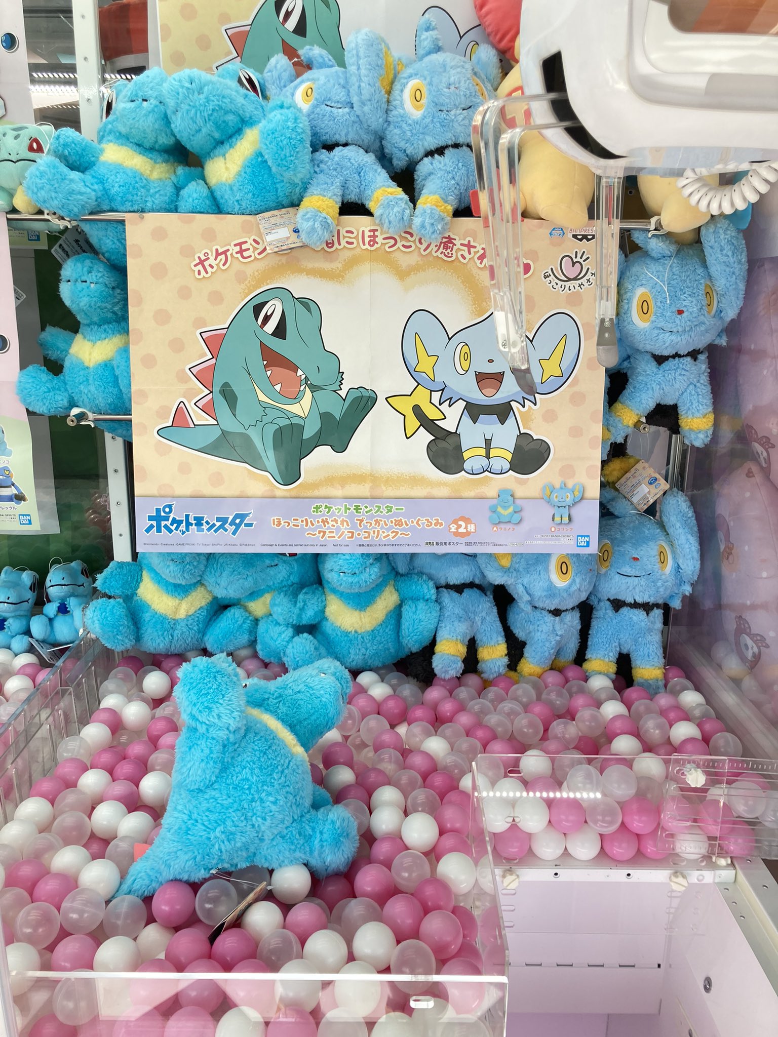 セガ水沢 投入中 ポケットモンスター ほっこりいやされ でっかいぬいぐるみ ワニノコ コリンク 来てよかった セガ水沢 T Co Eqscwtgzu9 Twitter
