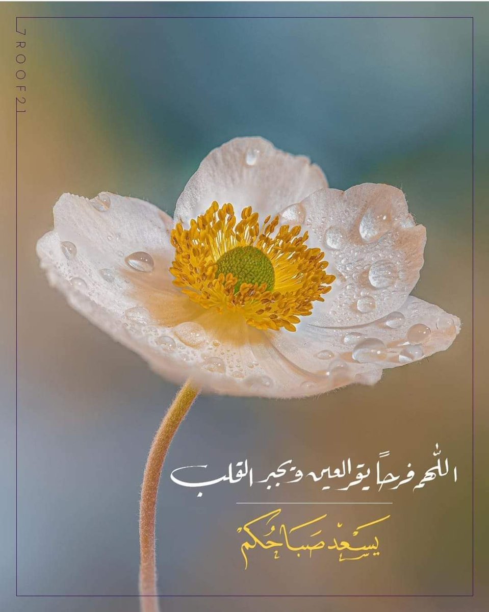 25semo's tweet photo. #صباح_الخير_والسعاده ❤ https://t.co/XI2m1VGyEe